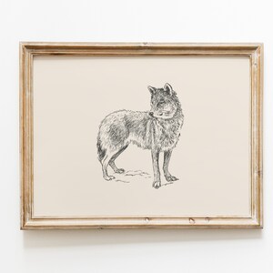 Wolf vintage print | Wolf wall art | Wolf drawing | Antique vintage painting | Farmhouse print | Farmhouse wall decor | Country wall art