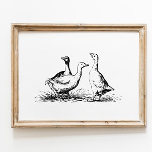 Duck Vintage Print / Duck Wall Art / Duck Drawing / Antique Vintage Painting / Farmhouse Print / Farmhouse Wall Decor / Country Wall Art