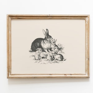 Rabbit & Bunnies print | Rabbit wall art | Rabbit vintage drawing | Animal nursery print | Farmhouse wall decor | Countryside print