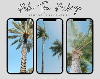 iPhone Wallpaper- Palm Tree Package