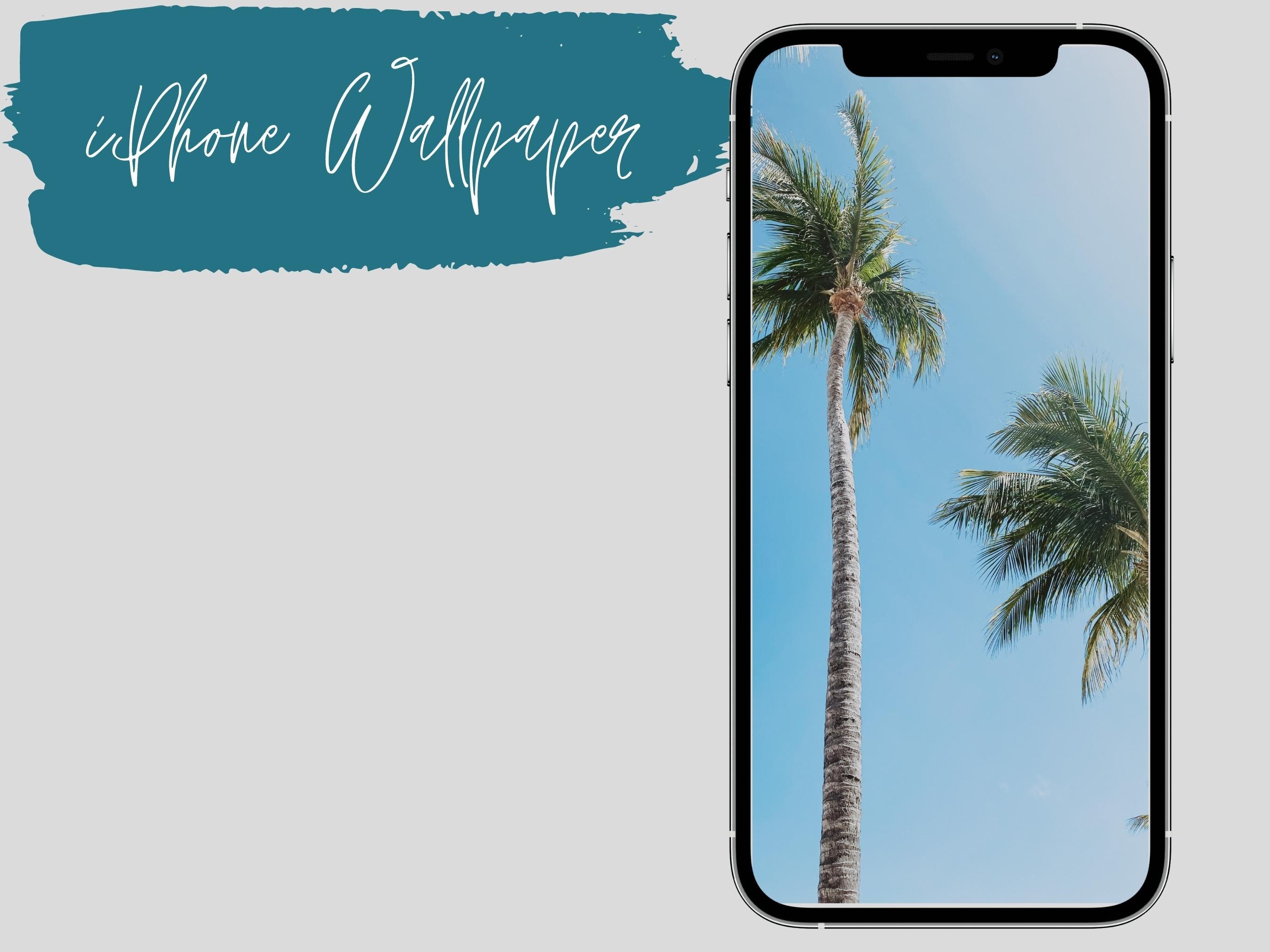 IPhone Wallpaper- Palm Tree Package - Etsy
