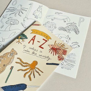 Animals colouring book and gift box / anxiety help / mindful colouring / adult colouring book / art gift box
