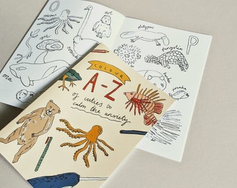 Livre de coloriage d'animaux et coffret cadeau / aide à l'anxiété / coloriage conscient / livre de coloriage pour adultes / coffret cadeau d'art