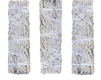 Blue Sage Pack of 3 | Blue Sage | Sage | Cleansing | Protection | Ritual | Smudging |