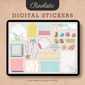 Pegatinas digitales de Summer Mood Board, paquete de pegatinas digitales de Mood Board, pegatinas de iPad para Goodnotes, Zinnia, imágenes prediseñadas de pegatinas de Zoomnotes, PNG