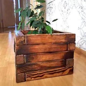 Könnte beinhalten: Ein quadratischer Pflanzkasten aus rustikalem Holz mit dunkler Beize. Er besteht aus gestapelten Brettern, die die Holzmaserung zeigen. Eine grüne, belaubte Pflanze wächst darin. Der Kasten steht auf einem Holzboden.