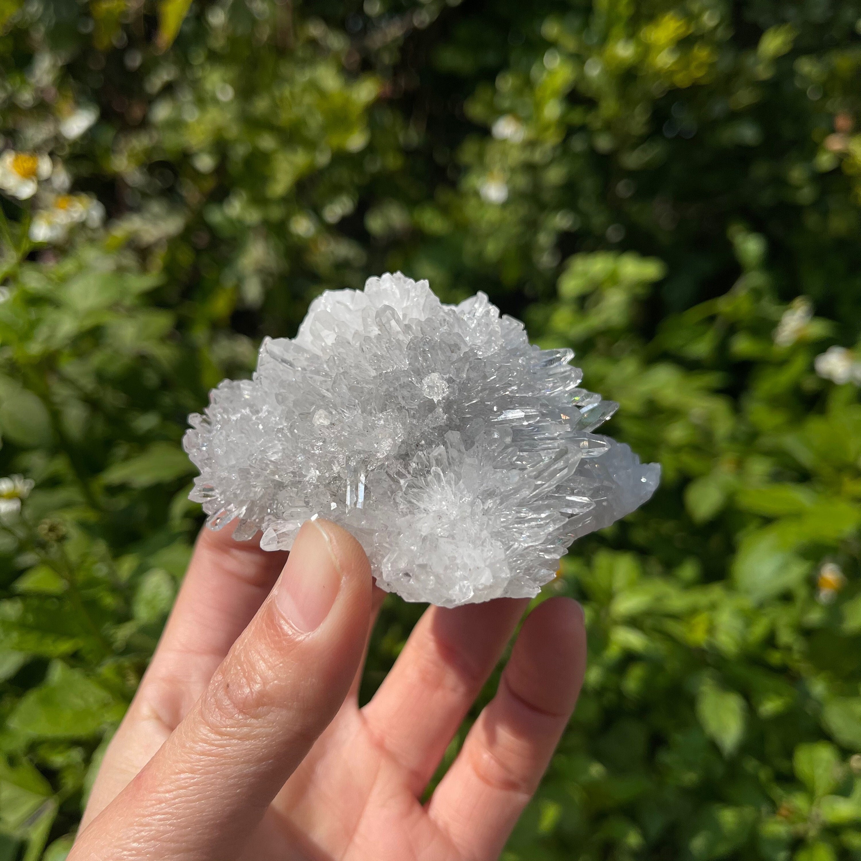 Racimo de cristal de cuarzo transparente brillante, piedra curativa,  decoración para el hogar - Etsy México, image size:3000x3000