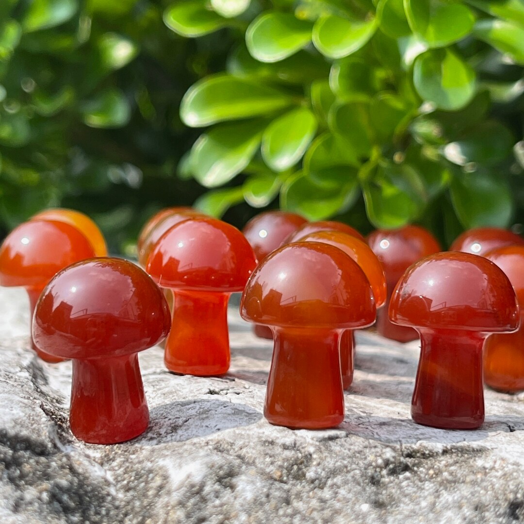 20mm Carnelian Mushroom, Mini Crystal Mushroom, Pocket Stone, Pendant