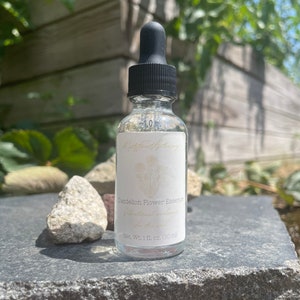 Dandelion (Taraxacum officinale) Non-alcoholic Flower Essence - chakra cleanse, vibrational medicine, energy healing, mindful meditation