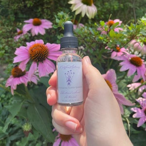Purple Coneflower (Echinacea purpurea) Non-alcoholic Flower Essence ~ spiritual healing, vibrational medicine, consciousness cleanse, energy
