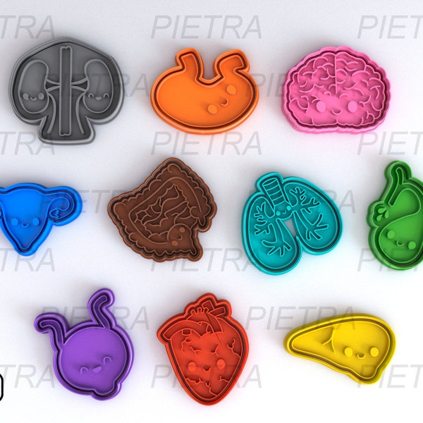 Cookie Cutter Human Organs Kawaii Fondant Multi Use - Cutter With Separate Seal and Frame Ceramics