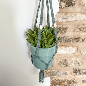 Sea shell macrame plant hanger