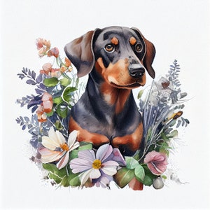 Nursery Decoration with Doberman Theme