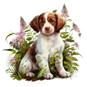 Brittany puppy clipart in a stunning watercolor style
