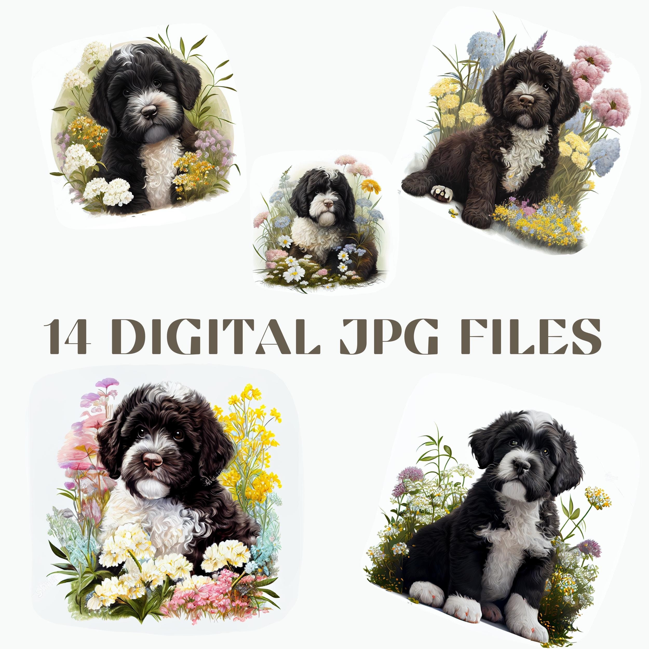 Portuguese Water Dog Dog Clipart Dog Breed Clipart Cute Dog Clipart Dog