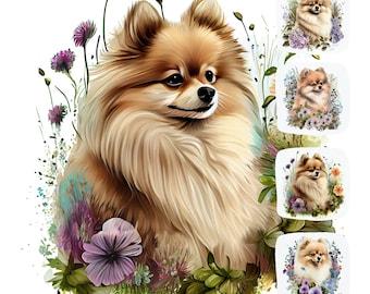 Pommeren puppy aquarel clipartbundel, 16 honden png jpg, schattig huisdier illustratie