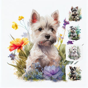 Mini Schnauzer Puppy Watercolor Clipart – 15 High-Res JPG Illustrations