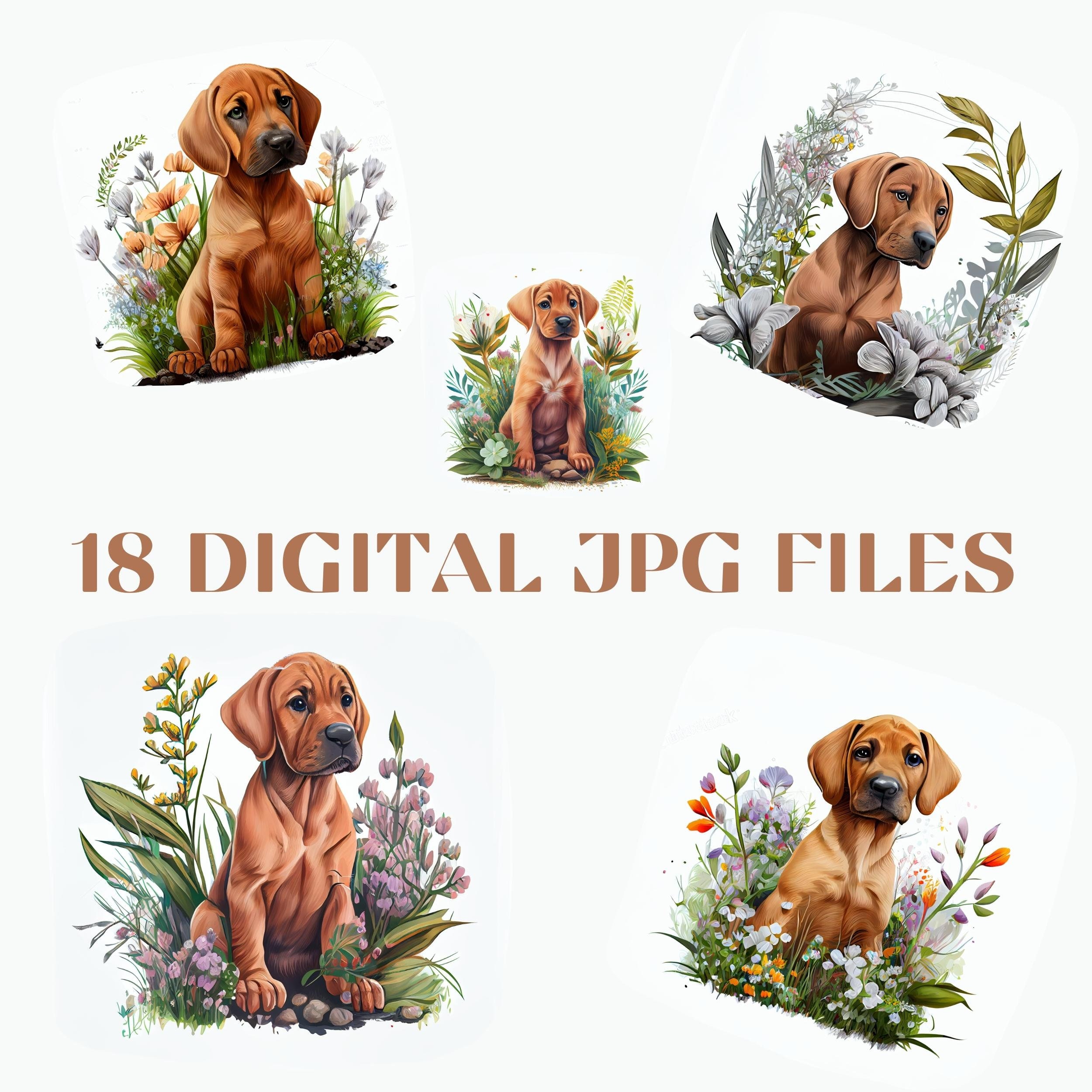 Unique Watercolor Rhodesian Ridgeback Puppy Graphics 18 High-quality ...