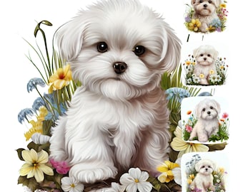 Maltese puppy aquarel clipartbundel | 17 jpg-bestanden met hoge resolutie | Hondenraskunst | Afdrukbaar en commercieel gebruik