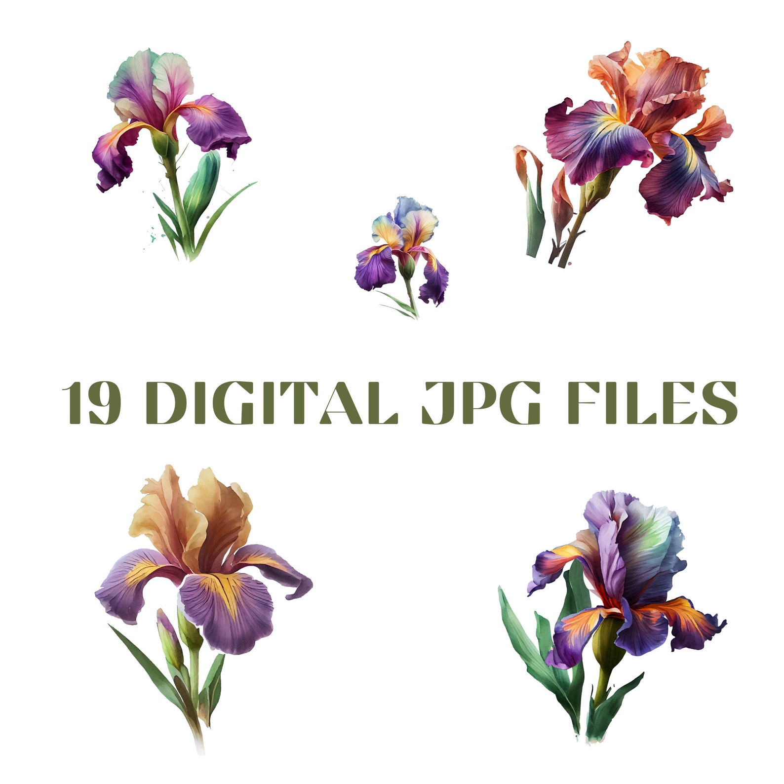 Irises Flower Digital Watercolor Clipart, Irises Flower Printable Wall Art, Design Resource