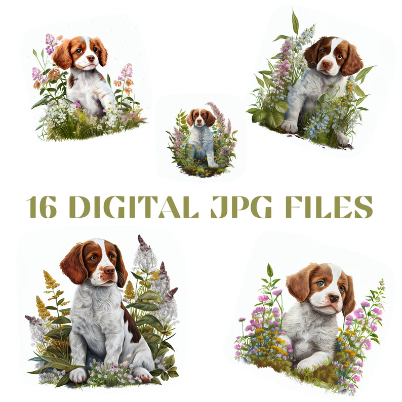 Brittany puppy illustration in beautiful digital watercolors