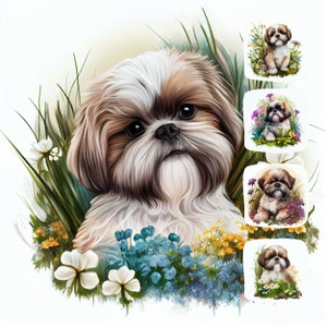 Shih Tzu Puppy Watercolor Clipart Bundle – 17 JPGs