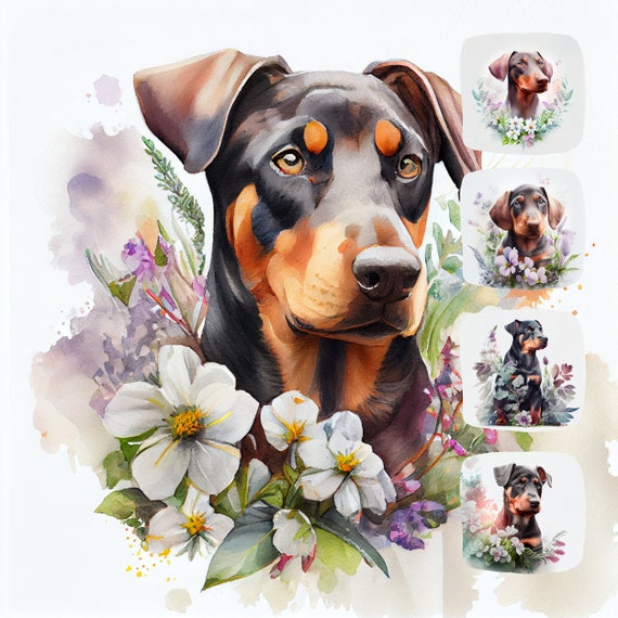 Doberman Puppy Watercolor Clipart Bundle, Dog Illustration (JPG Files, 4096x4096 px, 300 DPI)