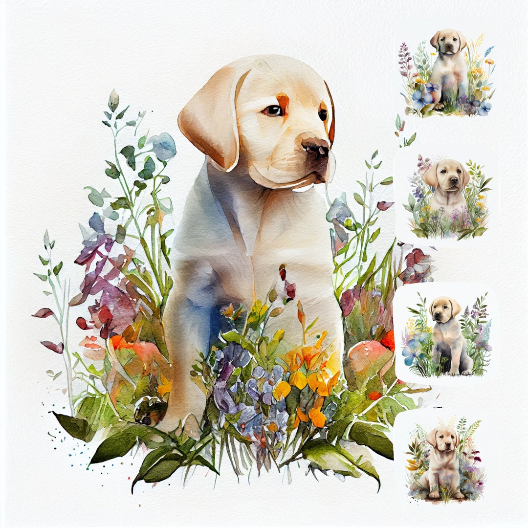 Labrador Puppy Watercolor Clipart Bundle, Dog Illustration (JPG ...
