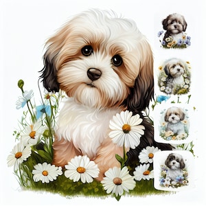 Havanese Puppy Watercolor Clipart Bundle JPG