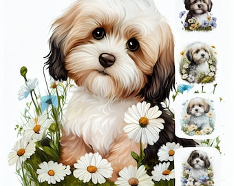 Havanezer puppy aquarel clipartbundel, hondillustraties (PNG JPG)
