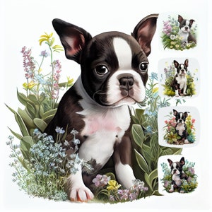 Boston Terrier Puppy Digital Painting Clipart, Boston Terrier Printable Wall Art, Design Resource, Digital Paper Pack