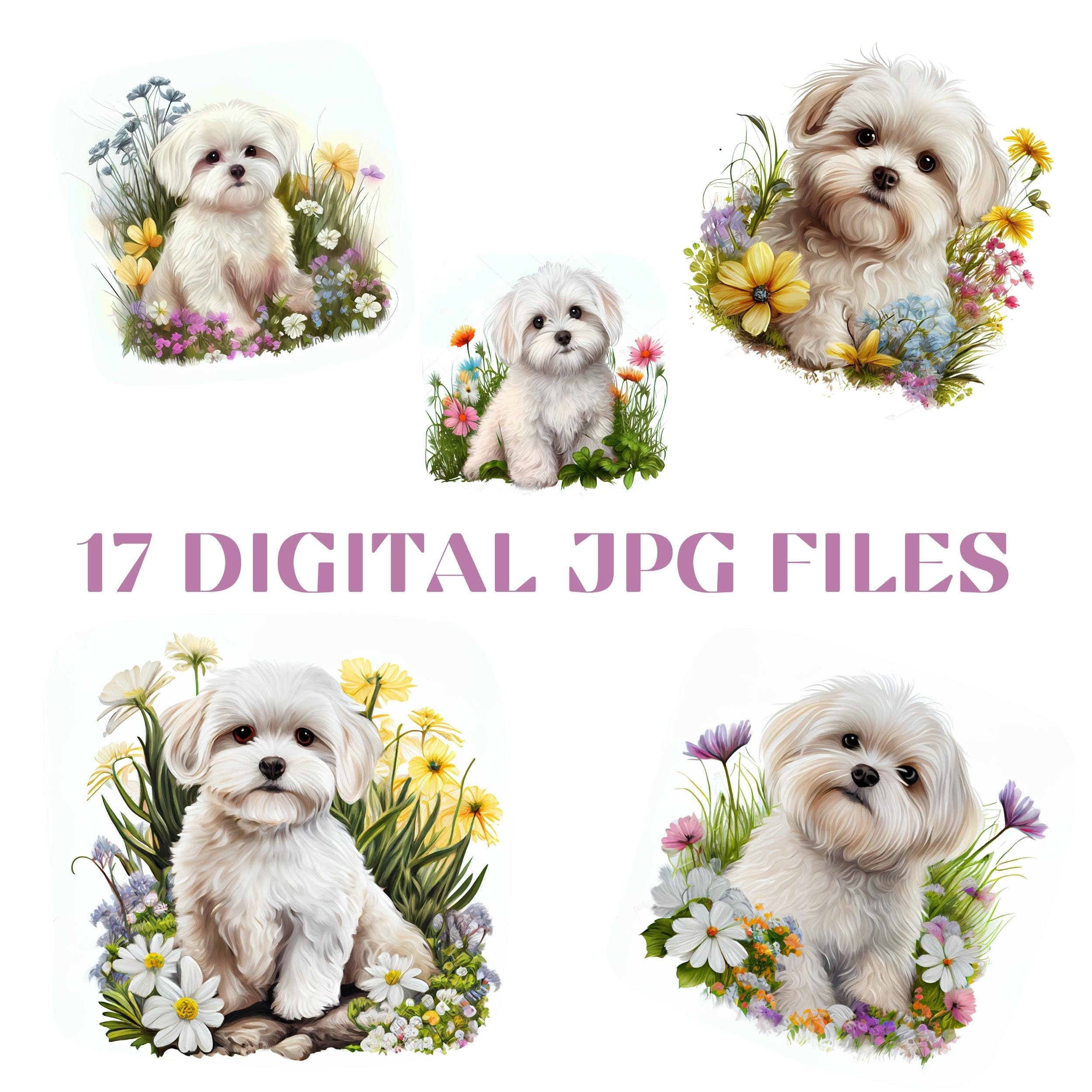 Maltese Puppy Watercolor Clipart Bundle | 17 High-res JPG | Dog Breed ...
