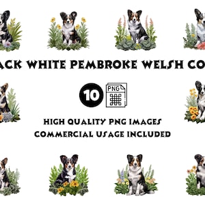 Schwarz-Weiß-Corgis Clipart-Bundle - 10 PNG walisische Pembroke-Corgis Illustrationen