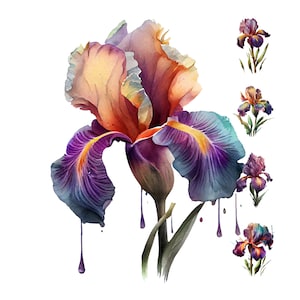 Iris Blume Digital Aquarell Clipart, Iris Blume druckbare Wandkunst, Design-Ressource, Digital Paper Pack