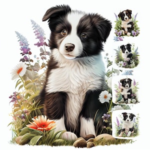 Border Collie Puppy Clipart Bundle – 17 Watercolor JPGs for Crafts & Decor