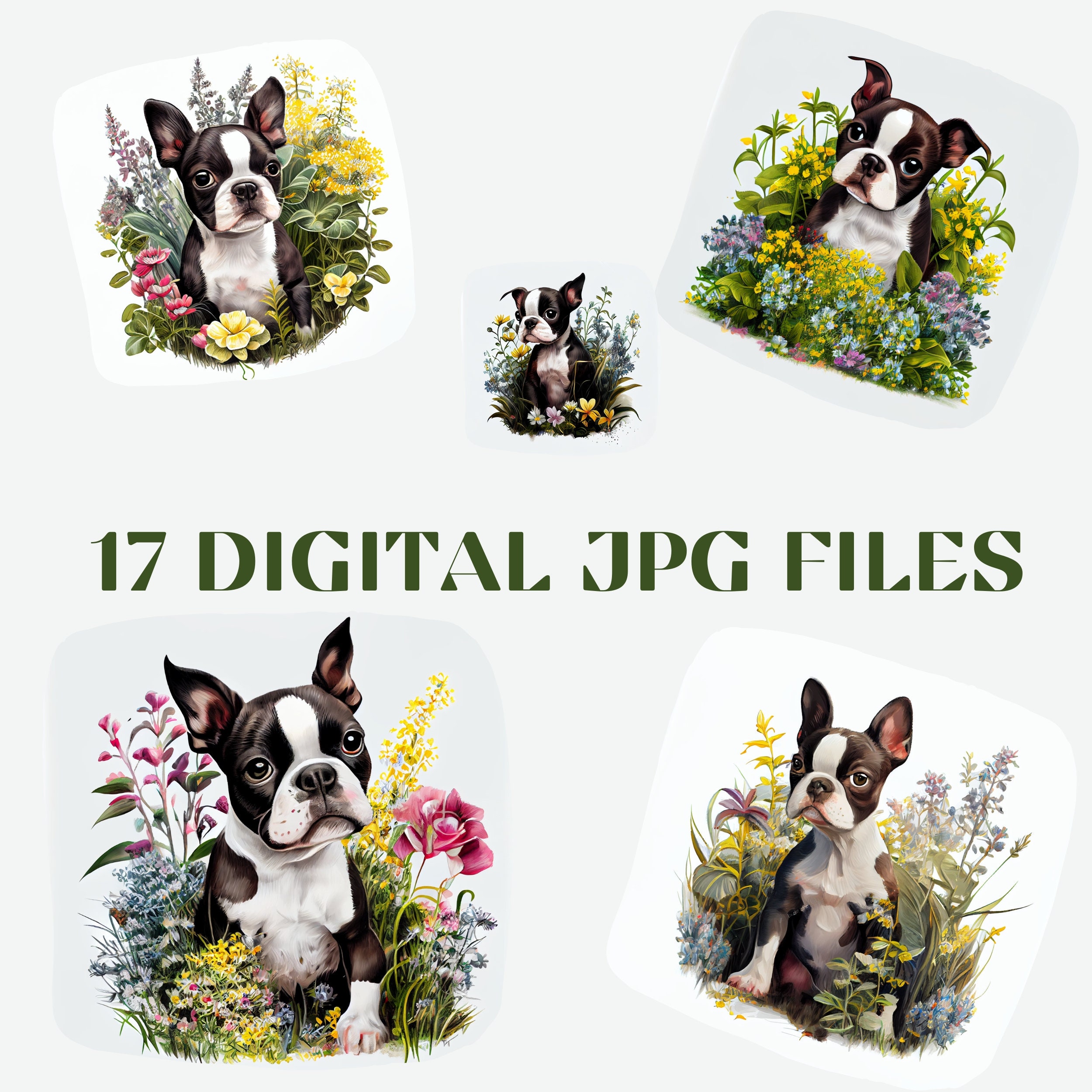 Boston Terrier Puppy Digital Painting Clipart, Boston Terrier Printable ...