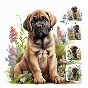 Lot de cliparts aquarelle chiot Mastiff – 16 fichiers JPG haute résolution pour travaux manuels et art mural