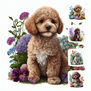 Poodle Puppy Watercolor Clipart Bundle – 13 JPGs for Crafts & Sublimation