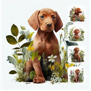 Vizsla Welpe digitale Aquarell Clipart, Vizsla Rasse druckbare Kunst, Design-Ressource, digitale Papierverpackung