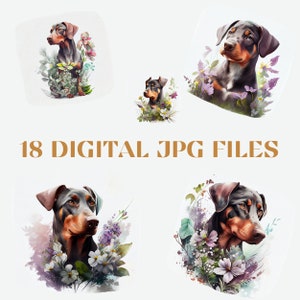 18 High-Quality Doberman Puppy Artwork