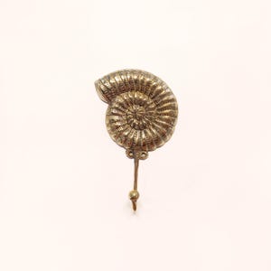 Ammonite brass wall hook, polished brass seashell coat rack
