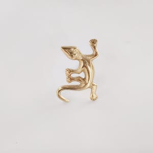 Gecko Brass Polished Knob - Antique brass lizzard cabinet knob, set of 2.