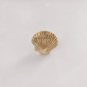Clam Brass Polished Knob - Antique brass seashell cabinet knob, set of 2.