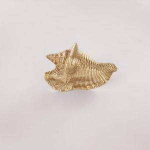 Conch Brass Polished Knob - Antique brass seashell cabinet knob, set of 2.