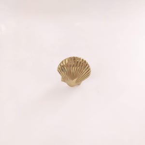 Clam Brass Knob - Polished Brass Seashell Cabinet Hardware, Set of 2