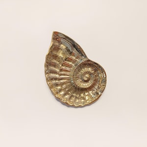 May include: A gold-colored metal ammonite shell shaped dish. The shell is detailed with ridges and a spiral pattern.