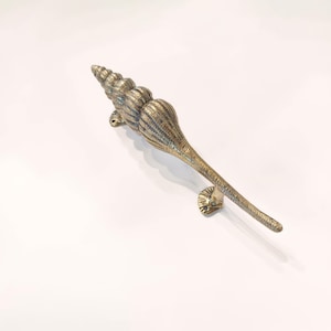 Conch Shell Brass Door Pull - Textured Cast Metal Handle