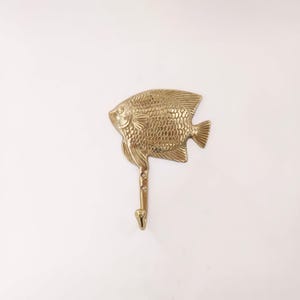 box fish for sale Blue Boxfish, Male  Manhattan Aquariums