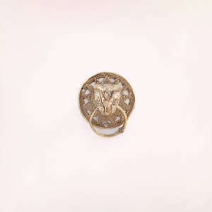 Cat Head Brass Door Knocker - Polished Feline Front Door Decor