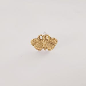 Moth Brass Polished Knob - Antique brass moth fly cabinet knob, set of 2.